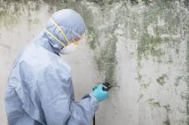 Professional Mold Inspection in Farmersville, TX